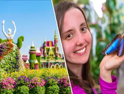 Combo (Save 12%): Dubai Miracle Garden + Dubai Butterfly Garden Tickets